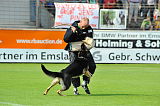 Hancook von der Hundshardt