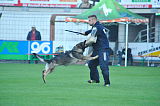 Xavi del Lupo Nero