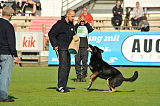 Zorro von der Mordschau