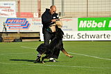 Zorro von der Mordschau
