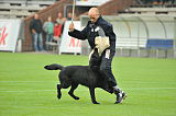 B'dog vom Eichbaum