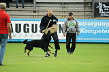 Moritz vom Gohbach-Allertal