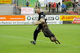 Wynn vom Annenhof