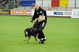 Tyson vom Friedrichsfelder Eck