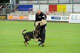 Tyson vom Friedrichsfelder Eck