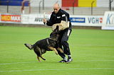 Tyson vom Friedrichsfelder Eck