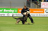 Hank vom schwarzen Bär