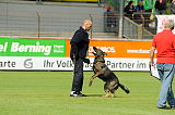 Hank vom schwarzen Bär