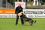 Hank vom schwarzen Bär