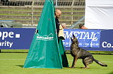 Hank vom schwarzen Bär