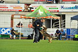 Chloue von der schwarzen Irma