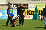 Zico von der kleinen Birke