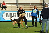Zico von der kleinen Birke