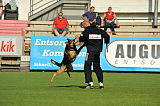Zico von der kleinen Birke