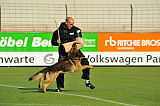 Zico von der kleinen Birke