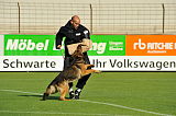 Zico von der kleinen Birke