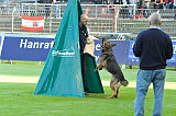 Zico von der kleinen Birke