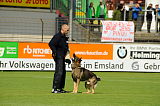 Gerry vom Weißeritztal