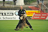 Henrik vom Wolfsheim