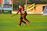 Bak Malinois of Sprajc