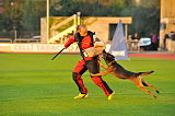 Bak Malinois of Sprajc