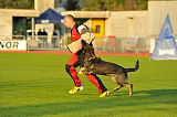 Aragon vom wilden Klee