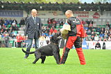 Hataro vom Lindelbrunn