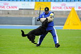 Checker vom Speedteam Bodensee