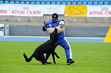 Checker vom Speedteam Bodensee