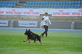 Nick Vikar