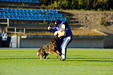 Fido von der Hagenmühle