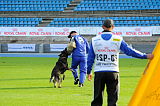 Xavi de Jardines del Real