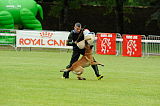 Ferro du Mont St.Aubert
