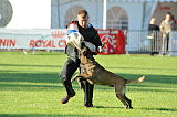 Myron vom Drachenherz