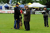Kazak med Jablani