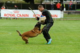 Alto Veranis K-9 Dog Center