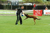 Alto Veranis K-9 Dog Center