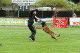 Alto Veranis K-9 Dog Center