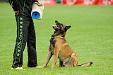 Alto Veranis K-9 Dog Center