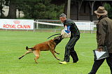 Alto Veranis K-9 Dog Center