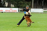 Alto Veranis K-9 Dog Center