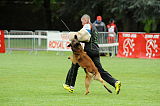 Alto Veranis K-9 Dog Center