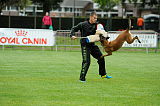 Lito vom Adlerauge