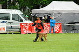 Laika van het Retrohof