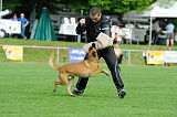Boy vom Streitwald
