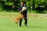 Boy vom Streitwald