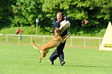 Boy vom Streitwald