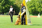 Boy vom Streitwald