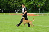Boy vom Streitwald