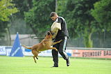 Beau von der Wesenberger Blutbuche